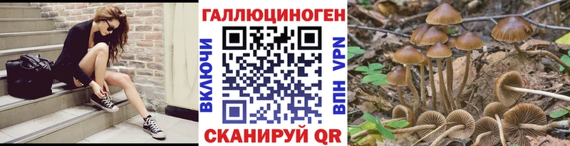 даркнет формула  даркнет сайт  Благодарный  Галлюциногенные грибы GOLDEN TEACHER 