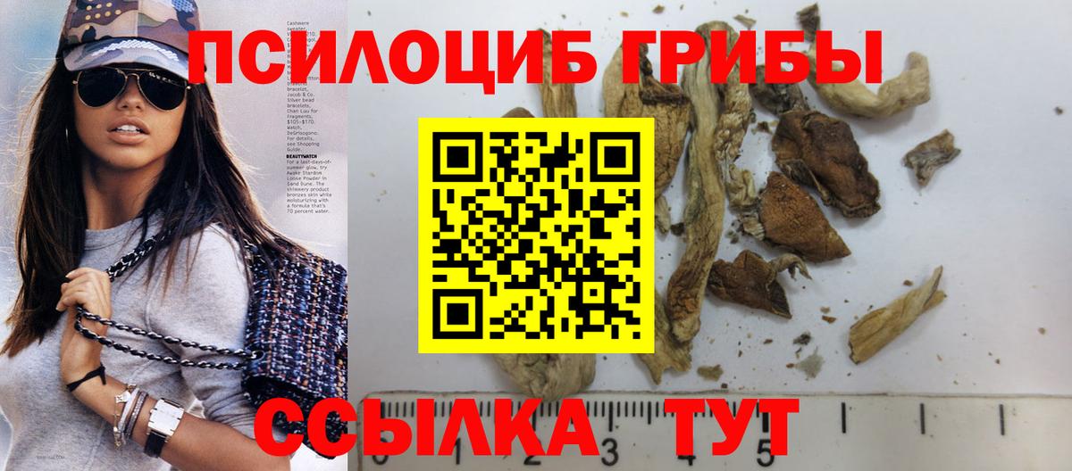 наркошоп  Псилоцибиновые грибы Psilocybe  Вход с VPN  Благодарный 